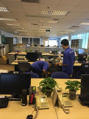 別墅滅鼠、滅蟑、滅蠅技術(shù)咨詢指南